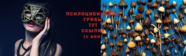 винт Киренск