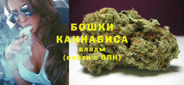 стаф Кинешма