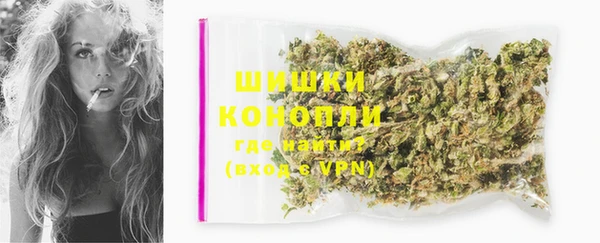 стаф Кинешма