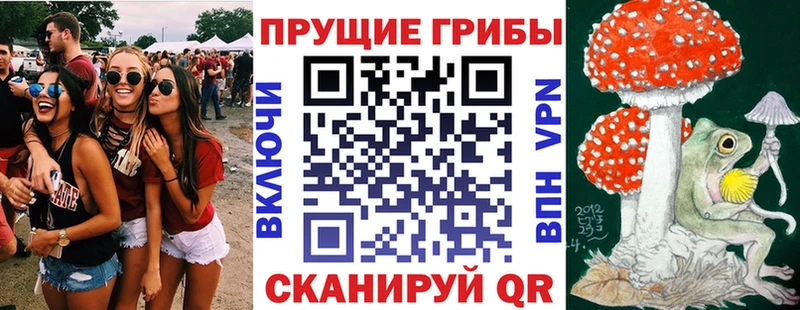 Купить закладки  Солнечногорск  Галлюциногенные грибы ЛСД 